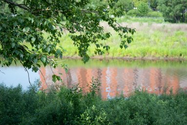 Летний день у реки